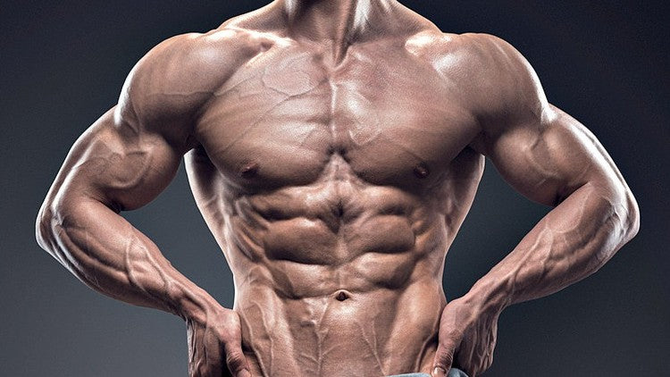 Muscle Building
